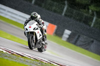 PJ-Motorsport-2019;anglesey;brands-hatch;cadwell-park;croft;donington-park;enduro-digital-images;event-digital-images;eventdigitalimages;mallory;no-limits;oulton-park;peter-wileman-photography;racing-digital-images;silverstone;snetterton;trackday-digital-images;trackday-photos;vmcc-banbury-run;welsh-2-day-enduro